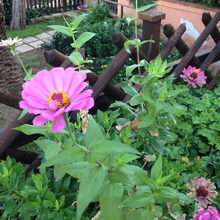 B&B Villa Di Giorgi เชฟาลู ภายนอก รูปภาพ