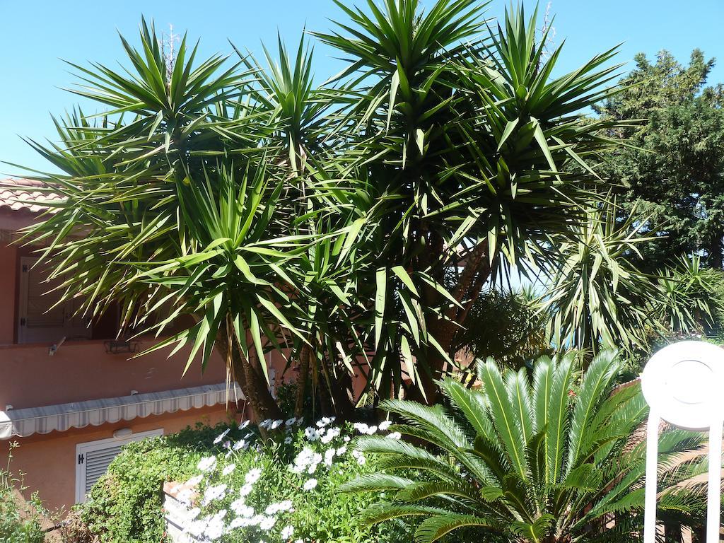 B&B Villa Di Giorgi เชฟาลู ภายนอก รูปภาพ