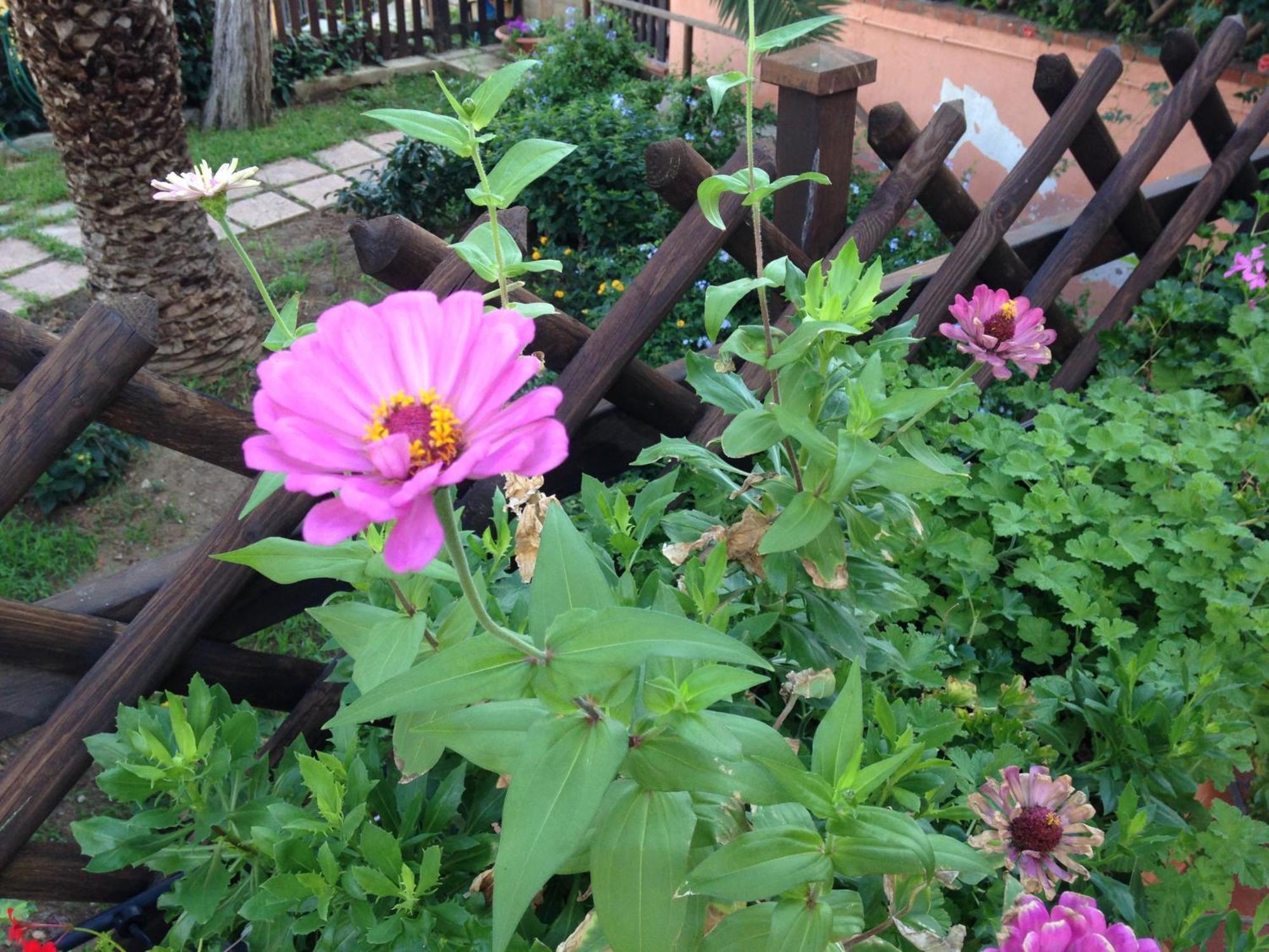 B&B Villa Di Giorgi เชฟาลู ภายนอก รูปภาพ